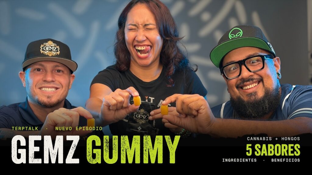 Gemz Gummy: 5 sabores y hongos funcionales