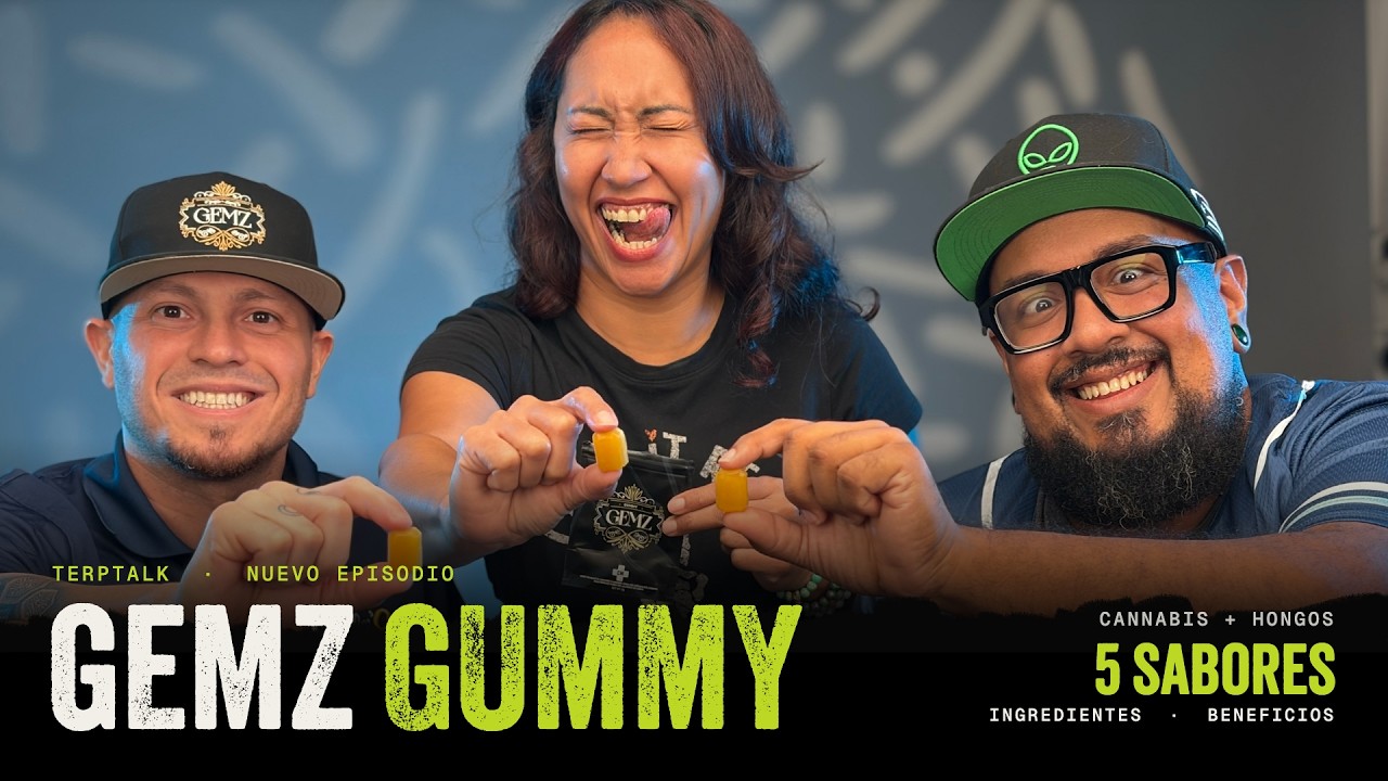 Gemz Gummy: 5 sabores y hongos funcionales